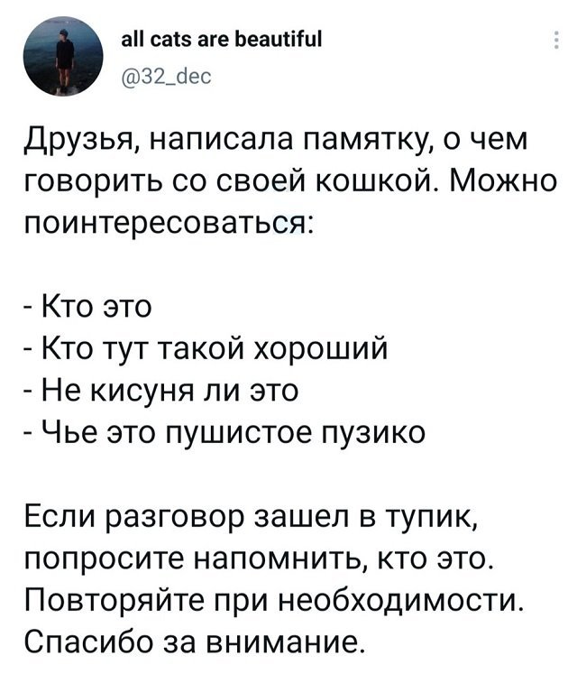 Подборка забавных твитов обо всем