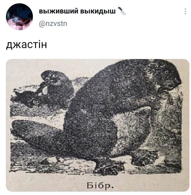 Подборка забавных твитов обо всем