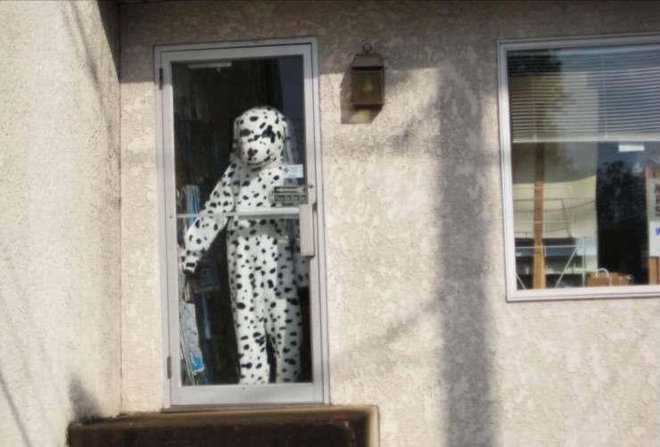 Смешные картинки пятница 26 февраля 2021