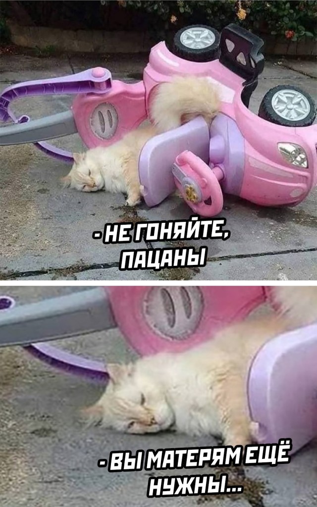 Смешные картинки пятница 26 февраля 2021