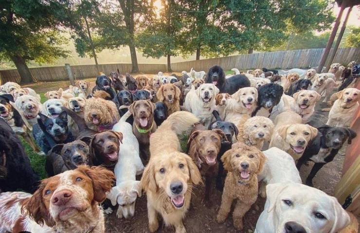 Смешные картинки пятница 26 февраля 2021