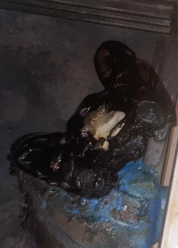 Подборка фотографий от людей, у которых сложились непростые отношения с техникой Подборка фотографий от людей, у которых сложились непростые отношения с техникой