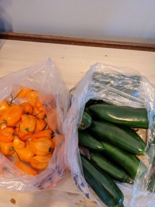 17 человек, которым еще долго не захочется ничего покупать по интернету 17 человек, которым еще долго не захочется ничего покупать по интернету