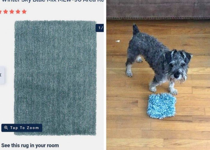 17 человек, которым еще долго не захочется ничего покупать по интернету 17 человек, которым еще долго не захочется ничего покупать по интернету