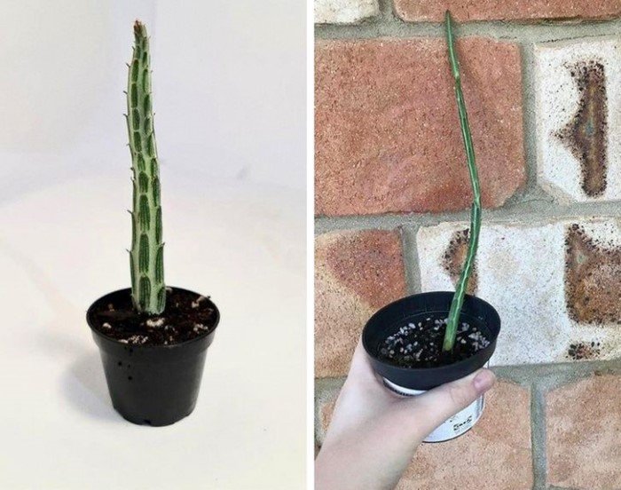 17 человек, которым еще долго не захочется ничего покупать по интернету 17 человек, которым еще долго не захочется ничего покупать по интернету