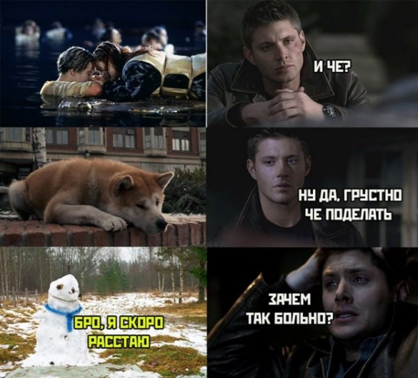 Весёлый полтишок