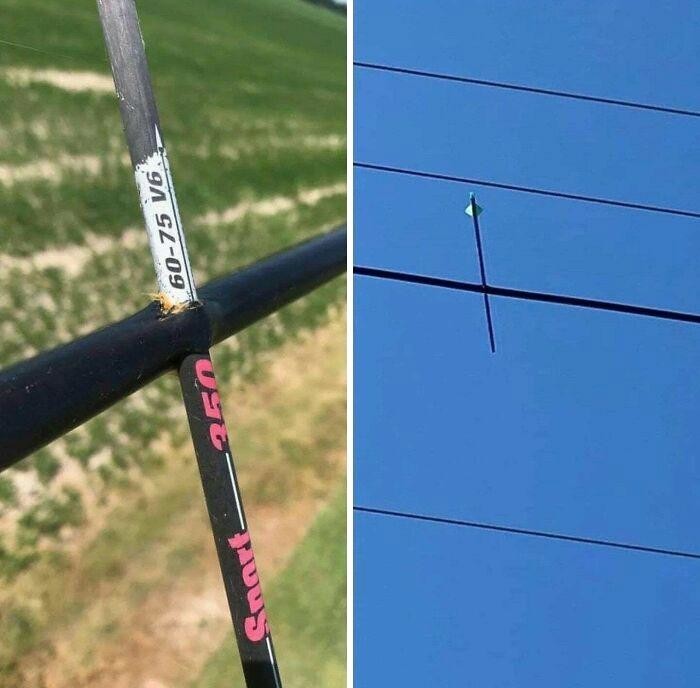 14. В яблочко 14. В яблочко