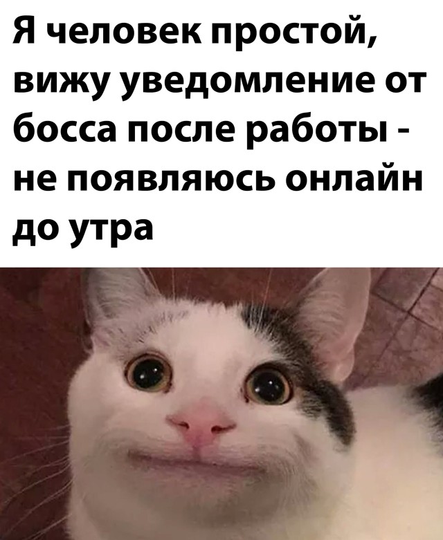 Смешные картинки вечер 5 марта 2021