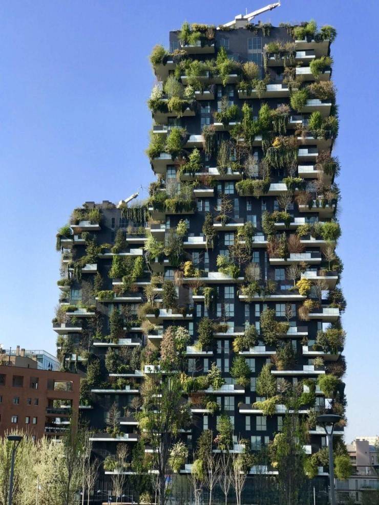 Смешные картинки вечер 5 марта 2021