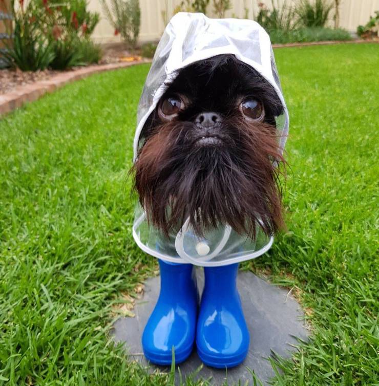 Смешные картинки вечер 5 марта 2021