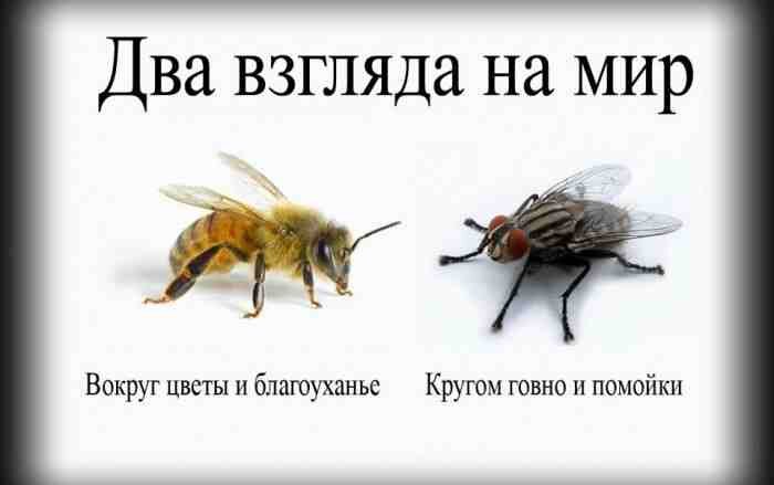 Разница в призмах восприятия работяги и пустолайки