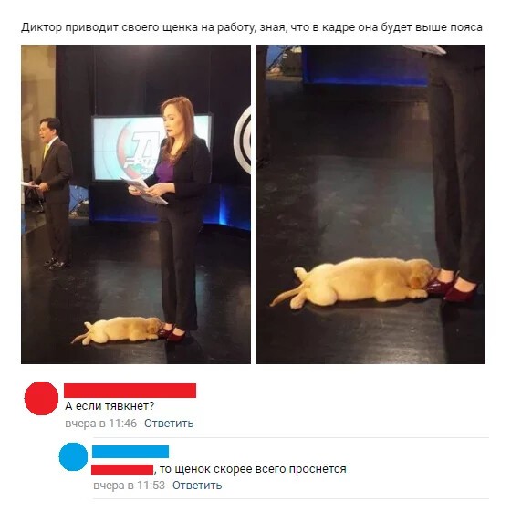 20 комментариев, диалогов и смс-переписок: новые шедевры от мастеров слова