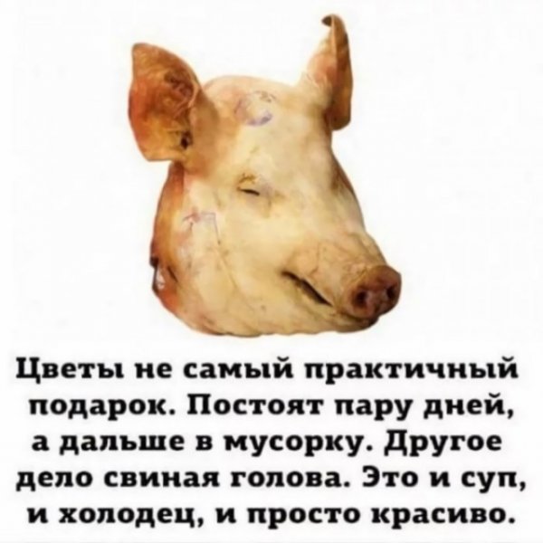 Картинки и мемы для настроения