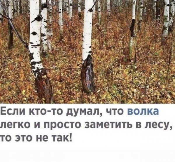 Картинки и мемы для настроения