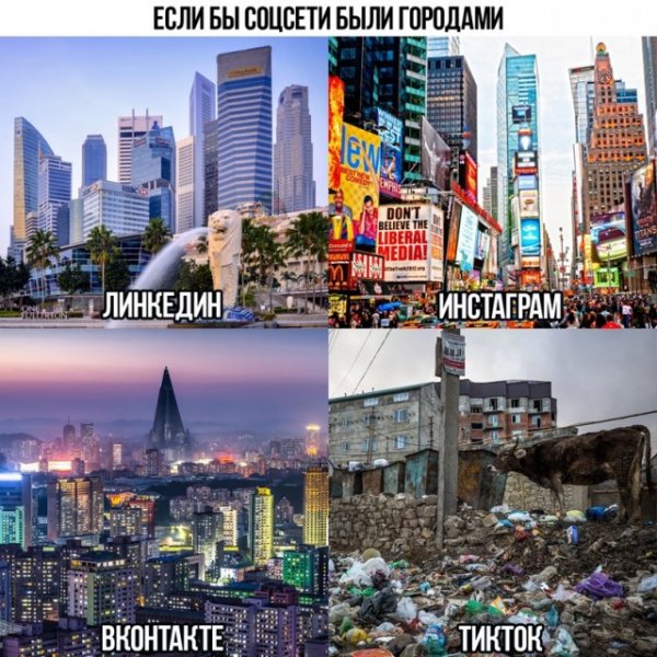 Картинки и мемы для настроения