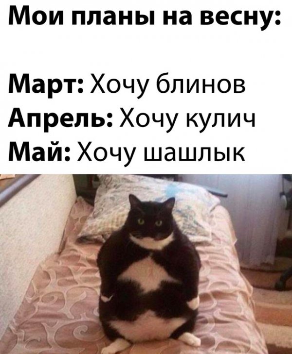 Картинки и мемы для настроения