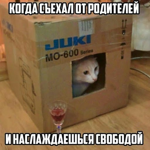 Подборка приколов от людей, которые только что съехали от родителей