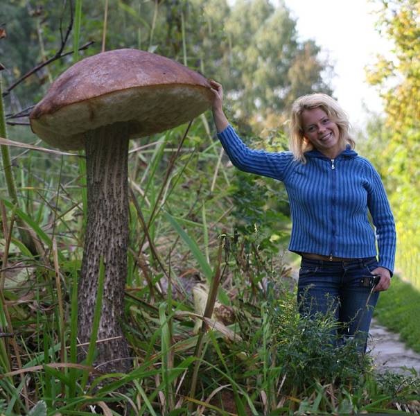 Смешные картинки 19 марта 2021