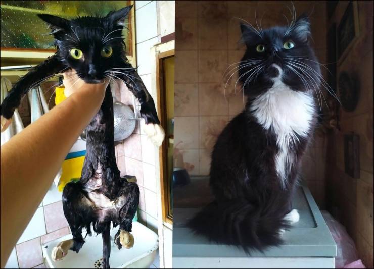 Смешные картинки 19 марта 2021