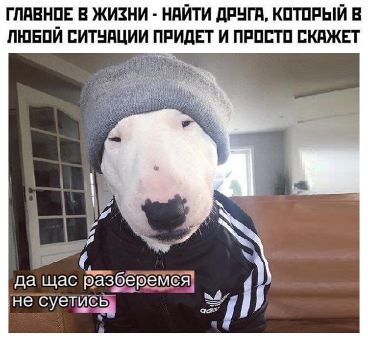 Смешные и познавательные картинки