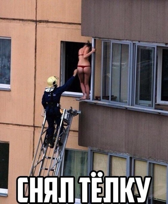 Смешные и познавательные картинки