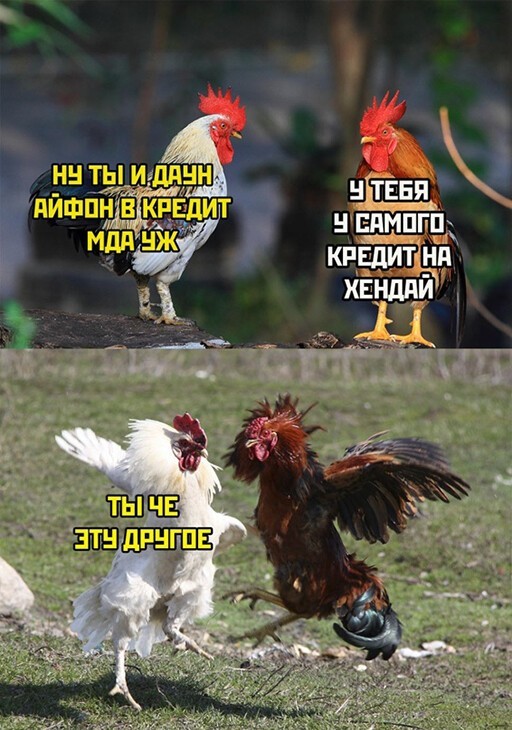 Смешные и познавательные картинки