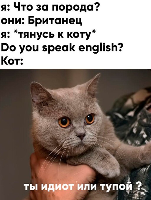 Смешные и познавательные картинки