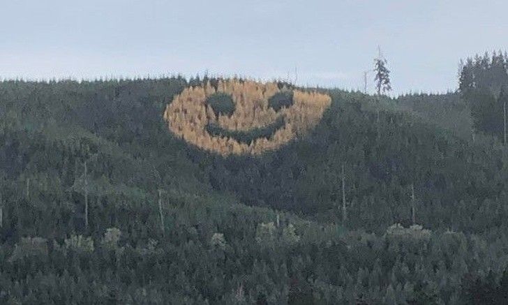 20 человек, в чьем сердце ростки доброты никогда не увянут