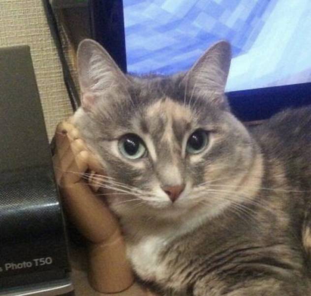 Смешные фото вечер 22 марта 2021