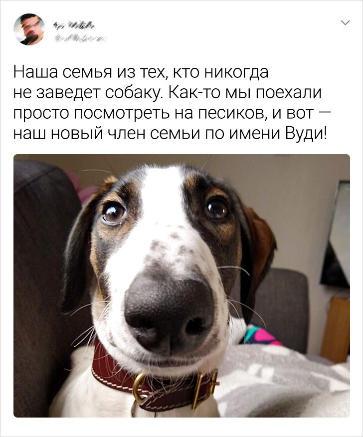 18 случаев, когда жизнь выкинула такой лихой сюжетный поворот, что впору снимать фильм