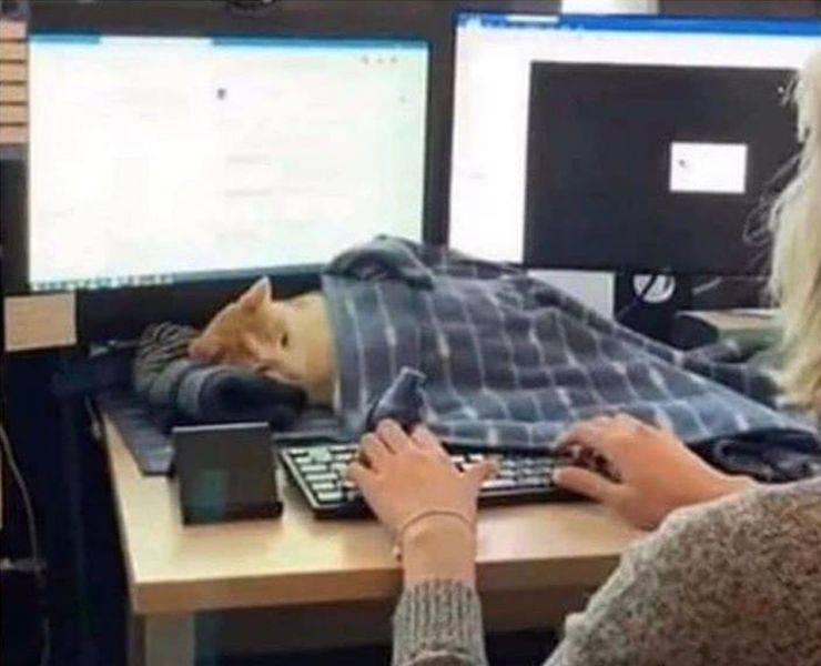 Смешные картинки 23 марта 2021 года