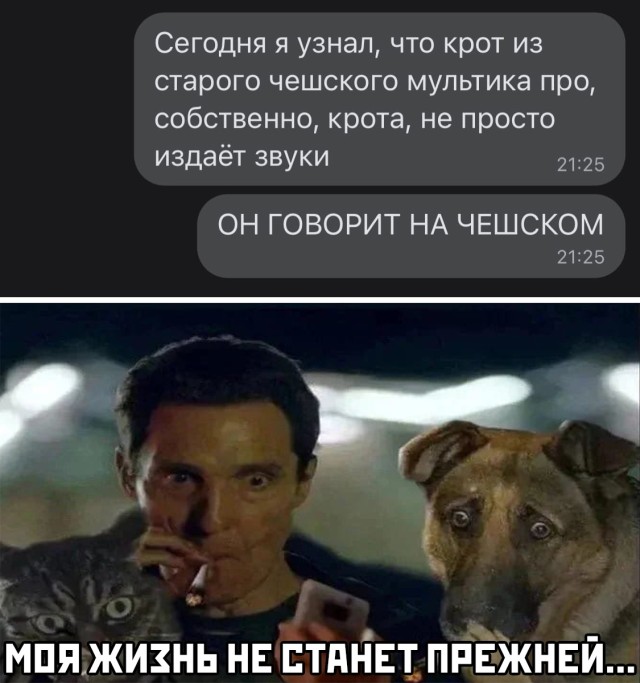 Смешные картинки 23 марта 2021 года