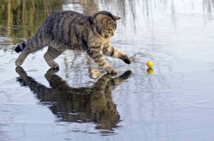 Смешные картинки 23 марта 2021 года