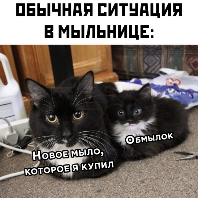 Смешные картинки 25 марта 2021 года