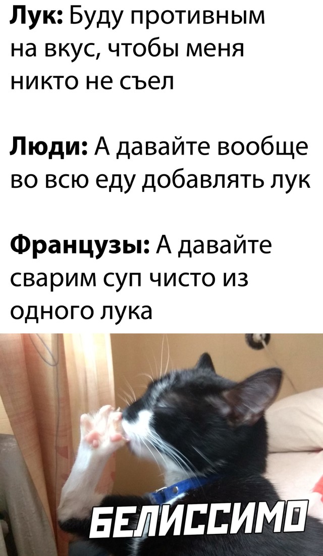 Смешные картинки 25 марта 2021 года