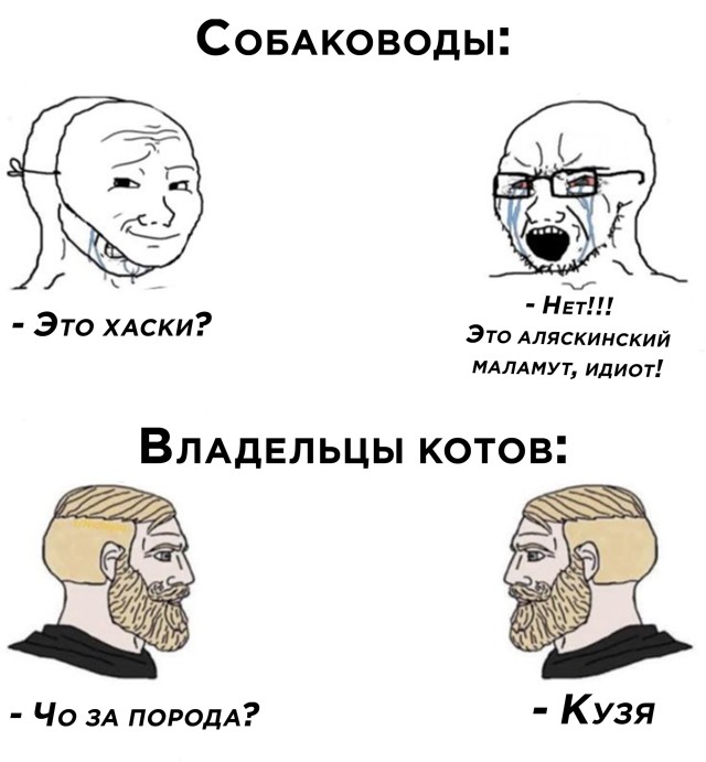 Смешные картинки 25 марта 2021 года