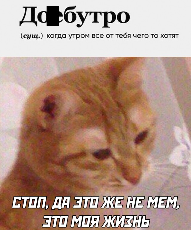 Смешные картинки 25 марта 2021 года