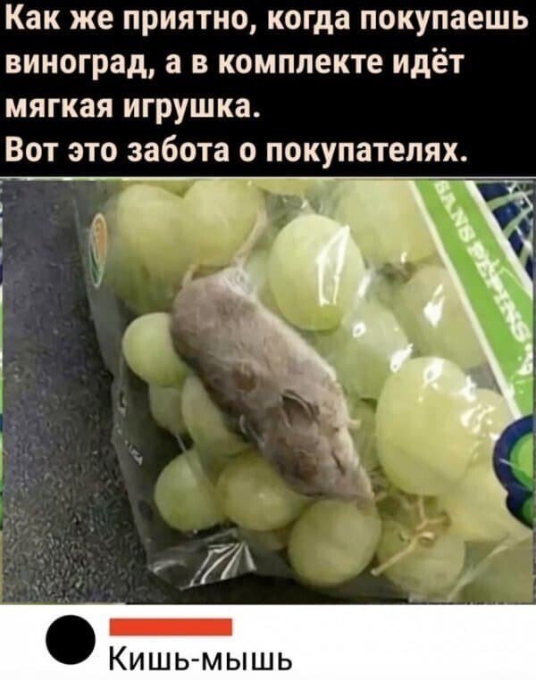 Смешные комментарии в социальных сетях