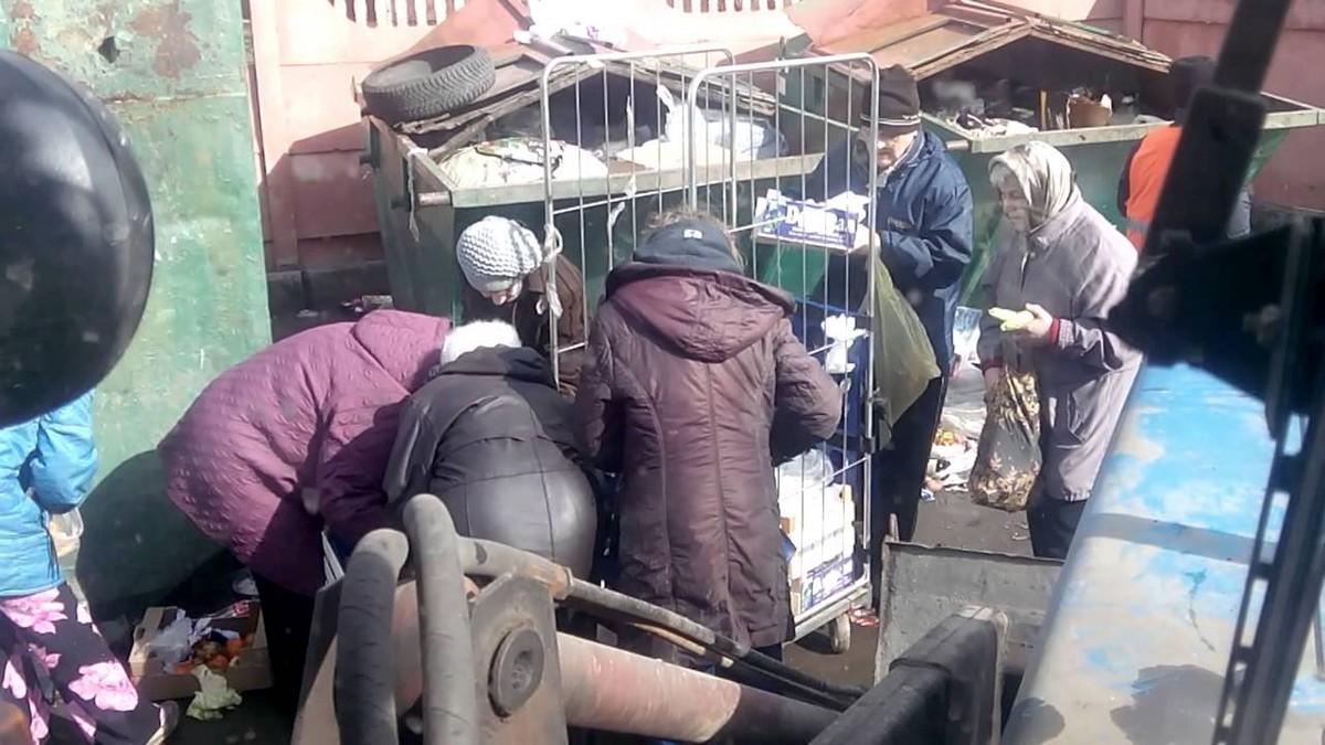 По родным просторам