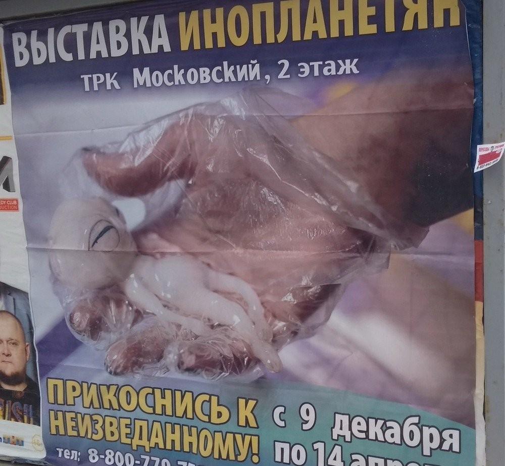 По родным просторам