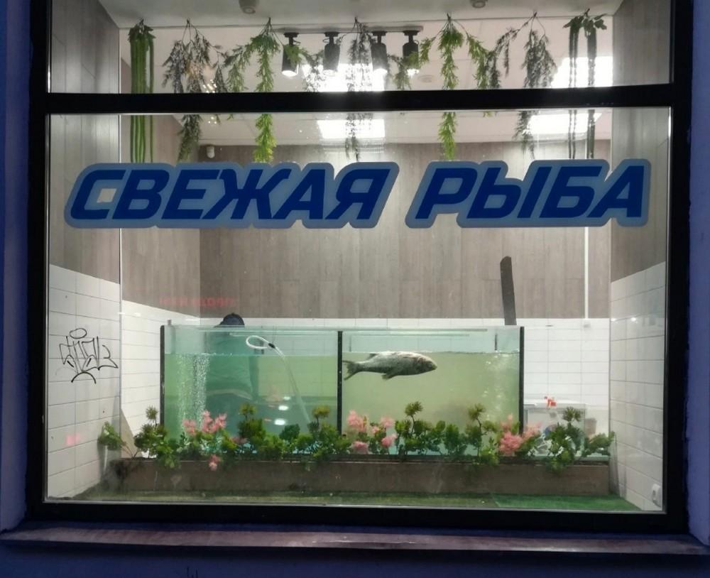 По родным просторам