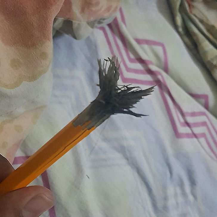 20 доказательств того, что быть родителем так же просто, как учить китайскую грамоту