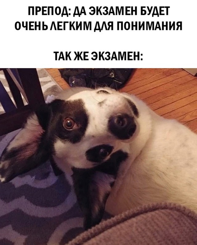 Смешные картинки 31 марта 2021