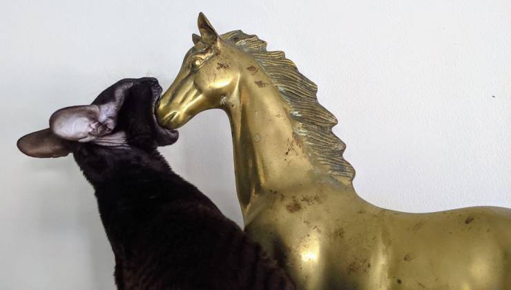 Смешные картинки 31 марта 2021