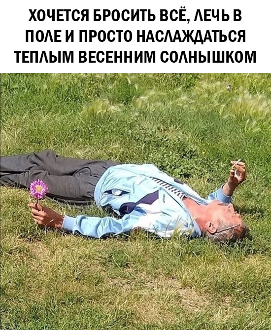 Смешные картинки 31 марта 2021