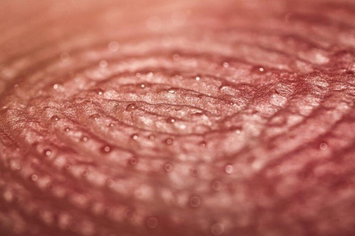 20 макрофотографий нашего удивительного мира