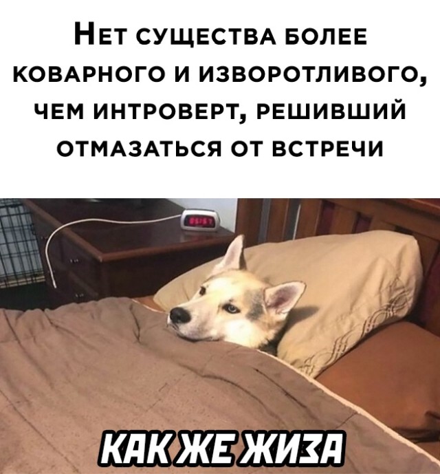 Смешные картинки вечер 6 апреля 2021 года