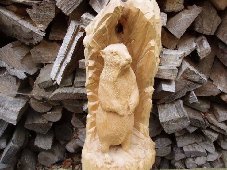 Смешные картинки 7 апреля 2021