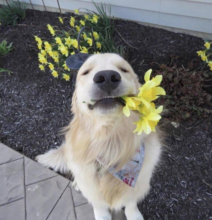 Смешные картинки 7 апреля 2021