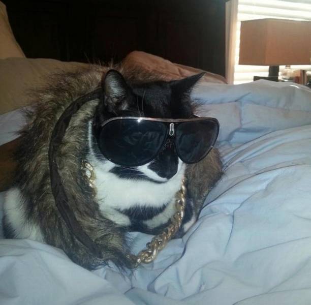 Смешные картинки 7 апреля 2021